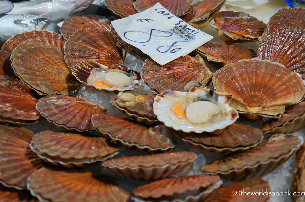Venice Rialto Fish market shells