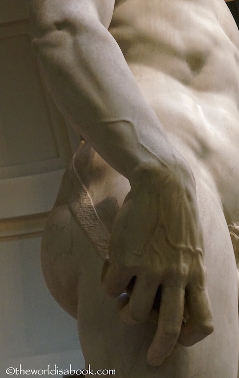 David Statue hand veins