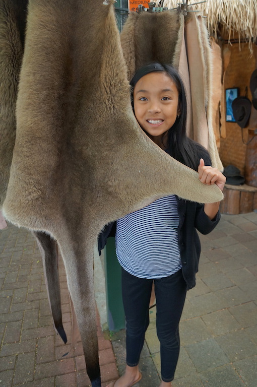 Kuranda Kangaroo rug