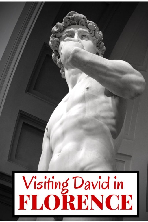 Michelangelo David Florence