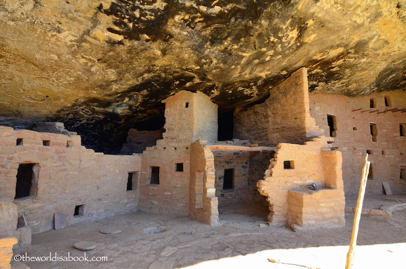 Spruce tree house room