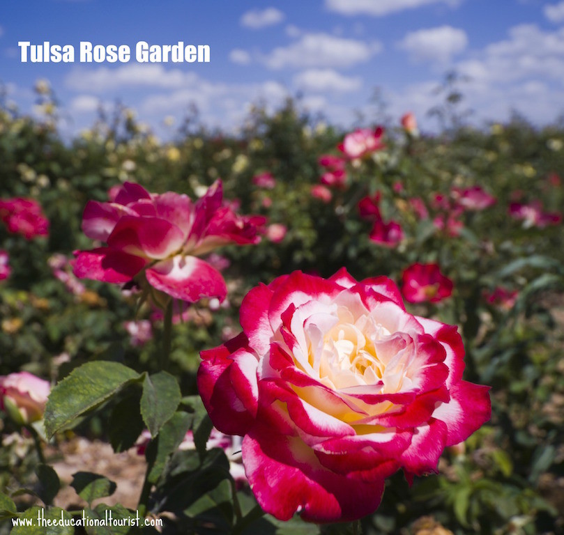 tulsa rose garden