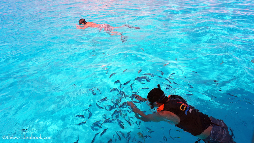 Bora Bora Coral Garden