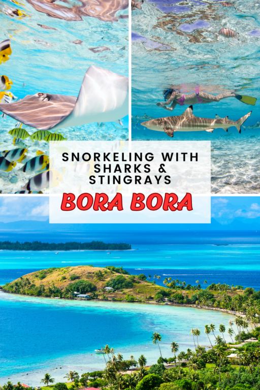 Bora Bora Snorkeling