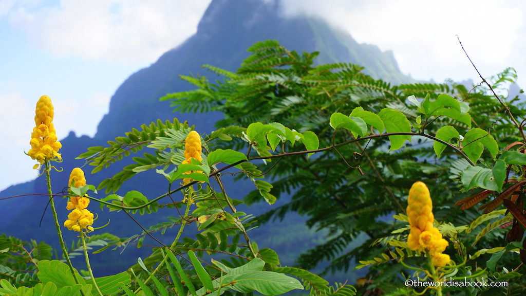 Moorea mountains and flowers
