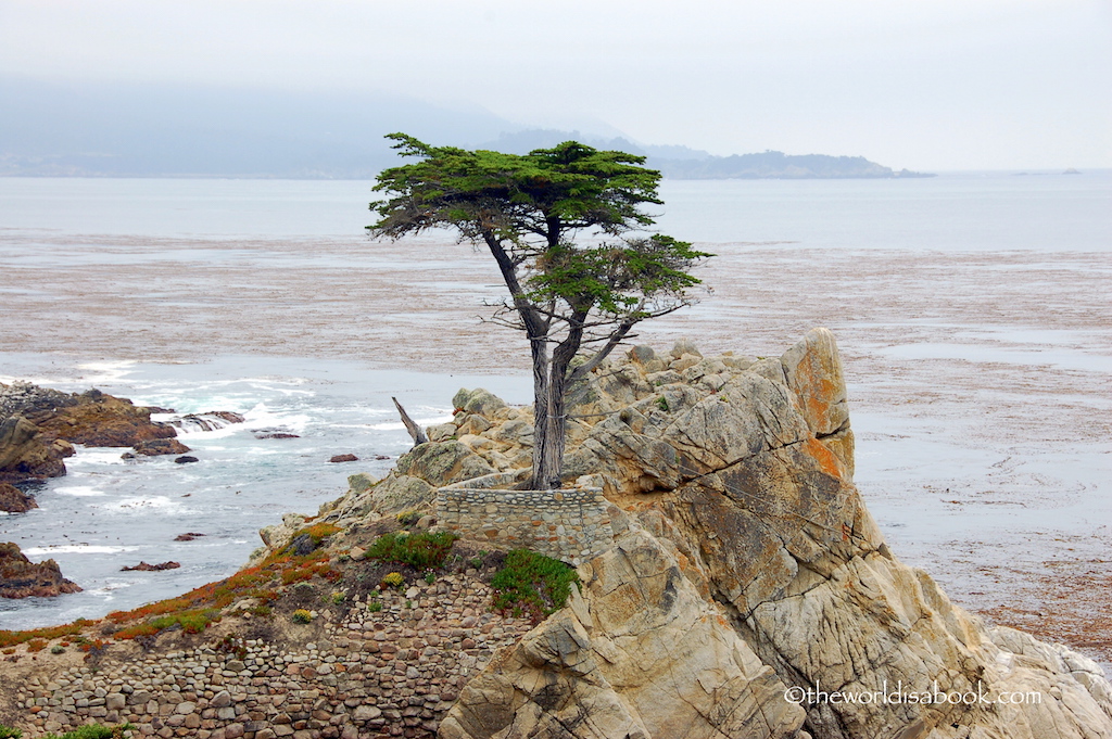 Lone Cypress Monterey