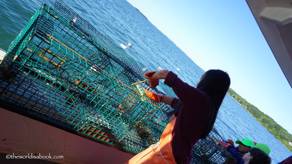 Maine Lobster trap