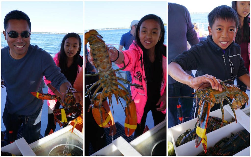 Maine Lobstering excursion