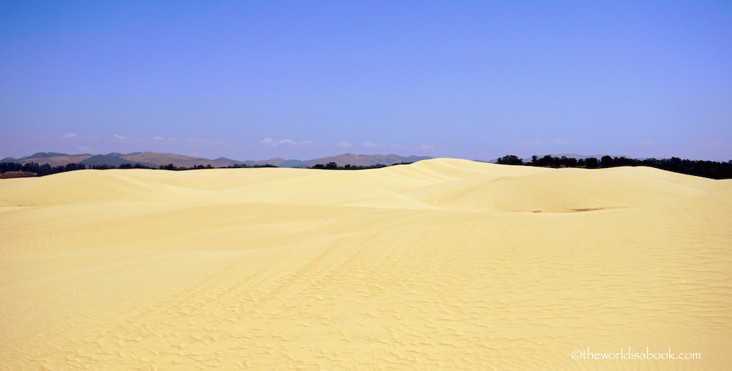 Oceano Dunes