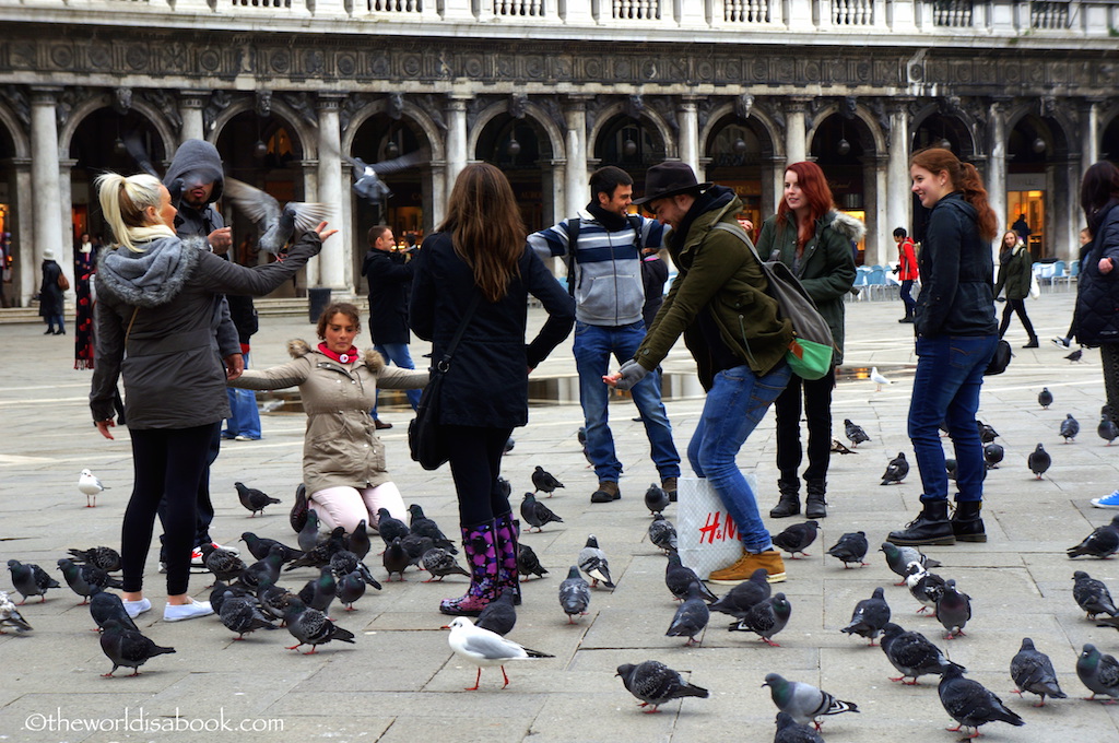 Venice Piazza San Marco pigeons
