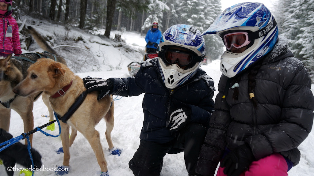 Dogsledding Whistler