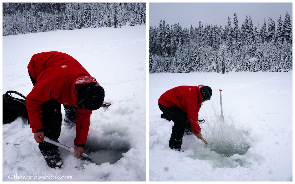 Whistler breaking ice