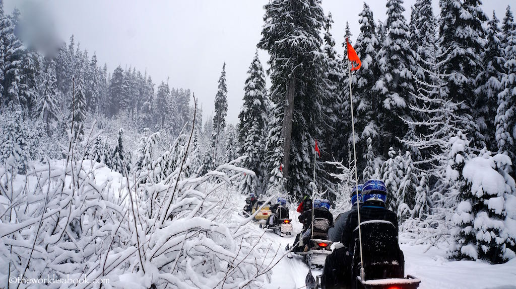 Whistler snowmobile tour