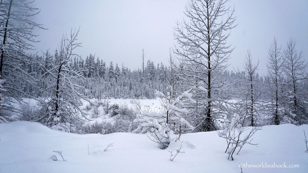 Whistler winter wonderland