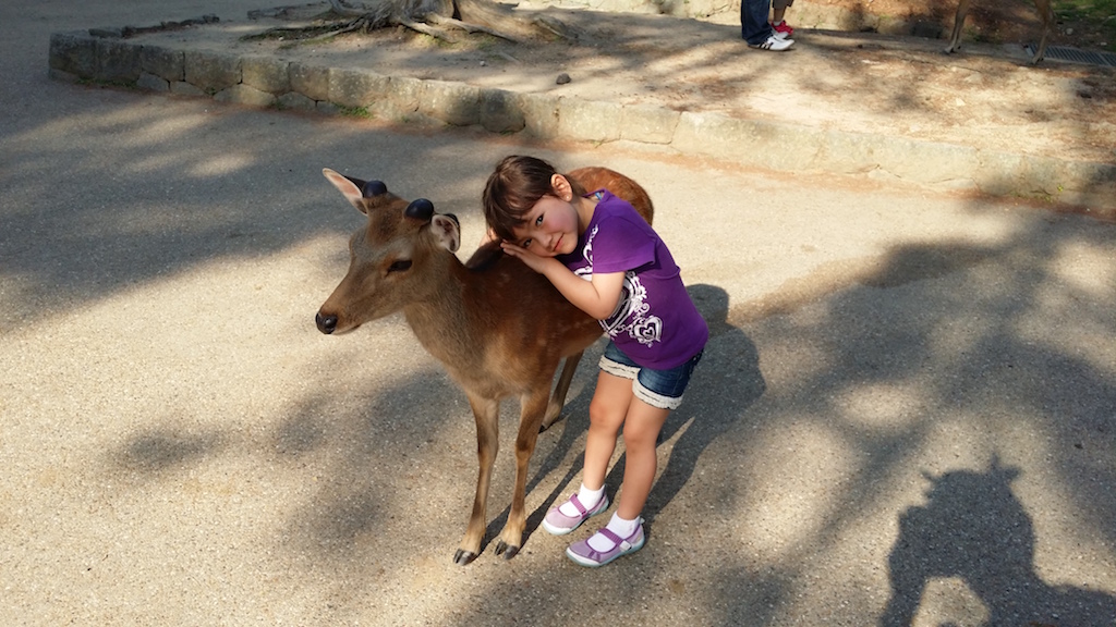 Nara Park