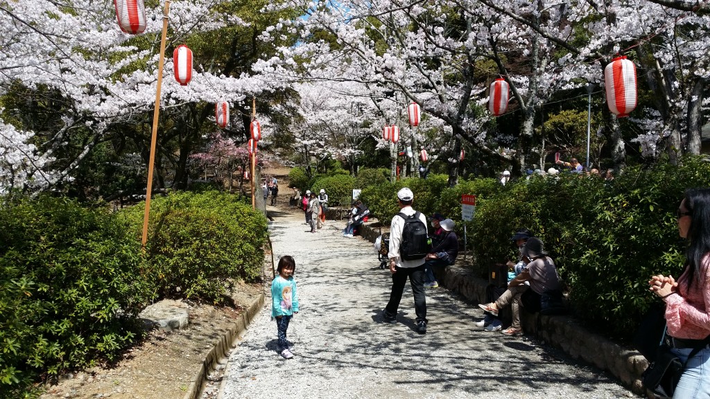 Satsukiyama Park