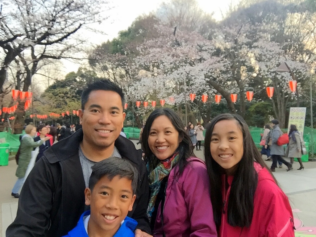 Ueno Park cherry blossom