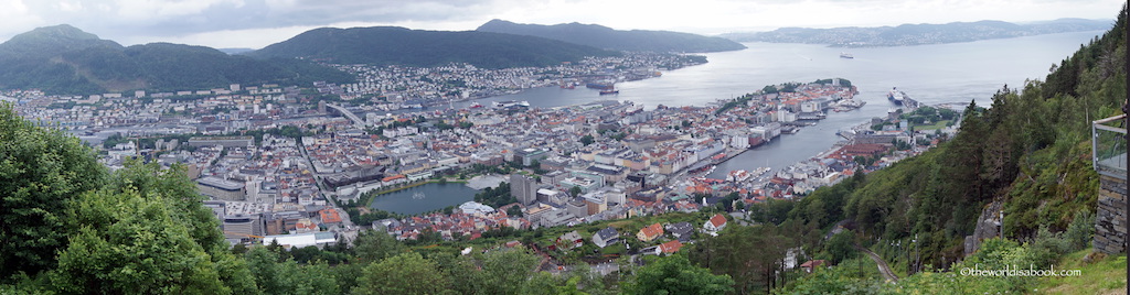 Bergen panoramic view