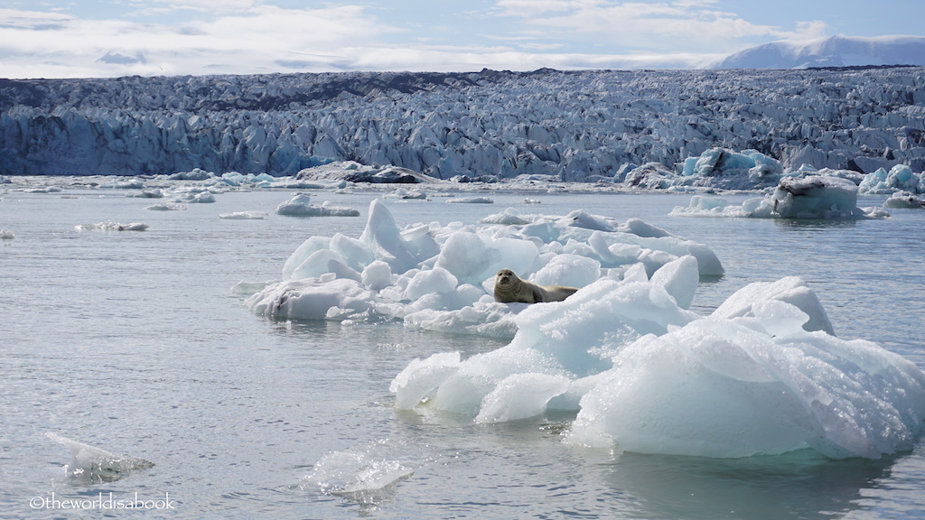 Jokulsarlon Glacier Lagoon Iceland