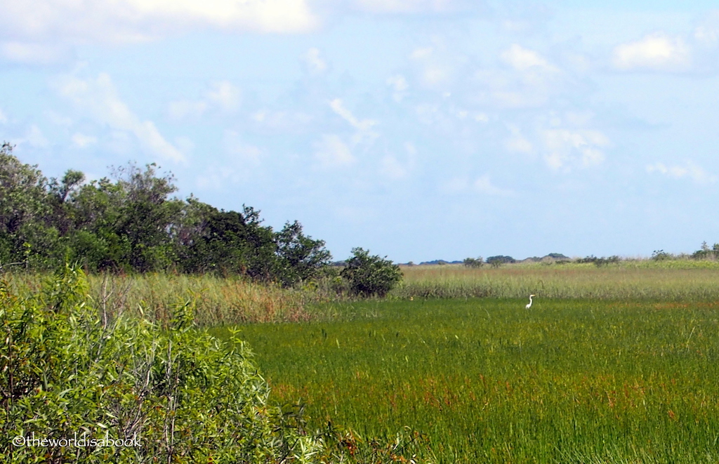 Everglades National Park Anhinga Trail