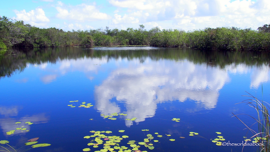 Everglades National Park Anhinga Trail