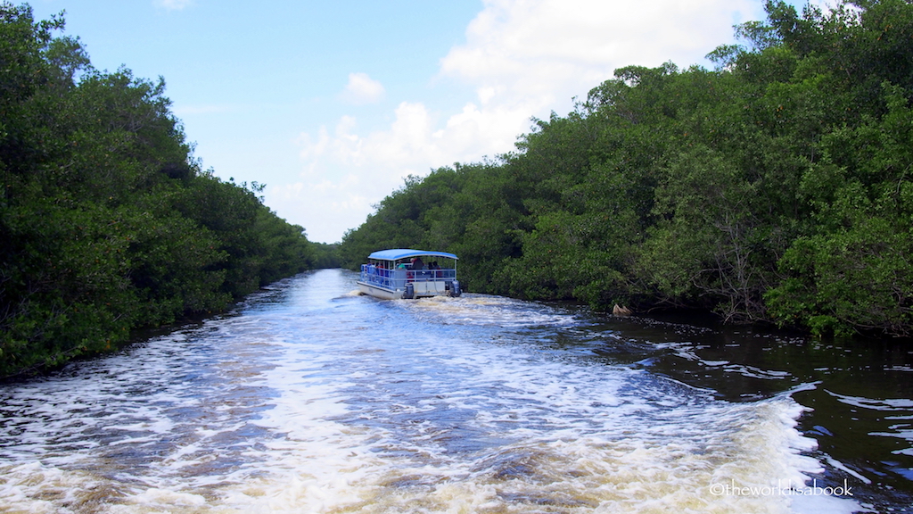 Everglades Flamingo boat tour