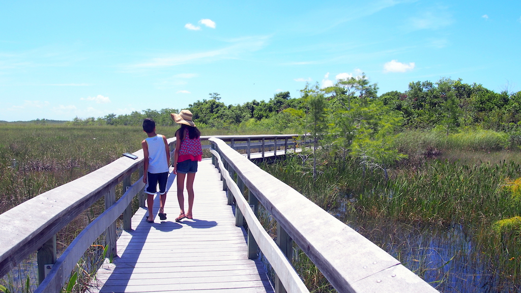 Everglades Pa-hay-okee boardwalk