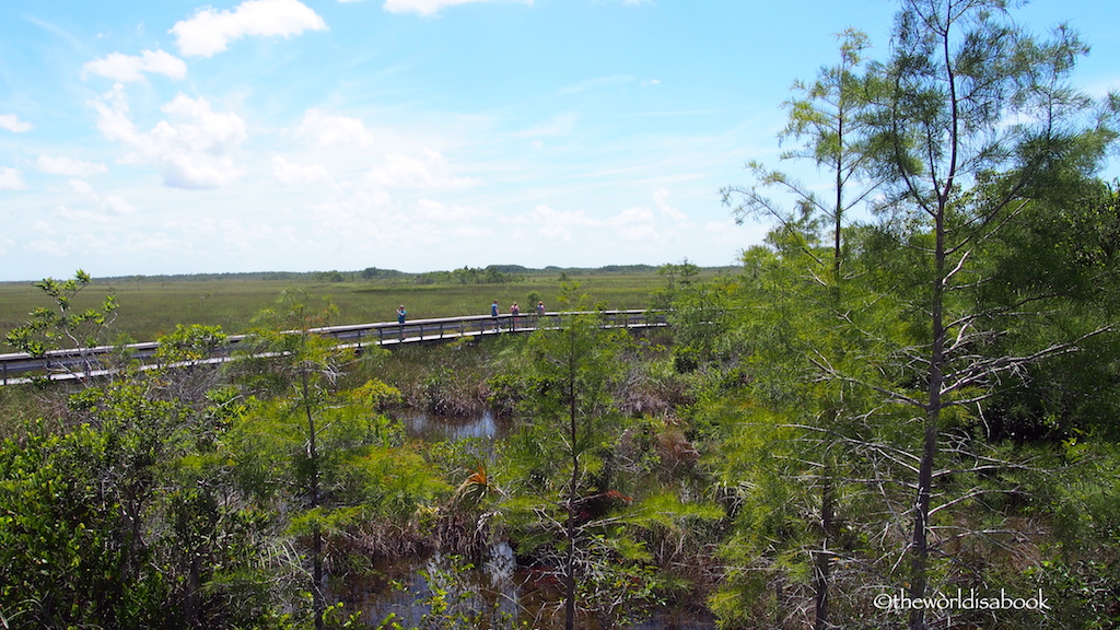 Everglades Pa-hay-okee trail