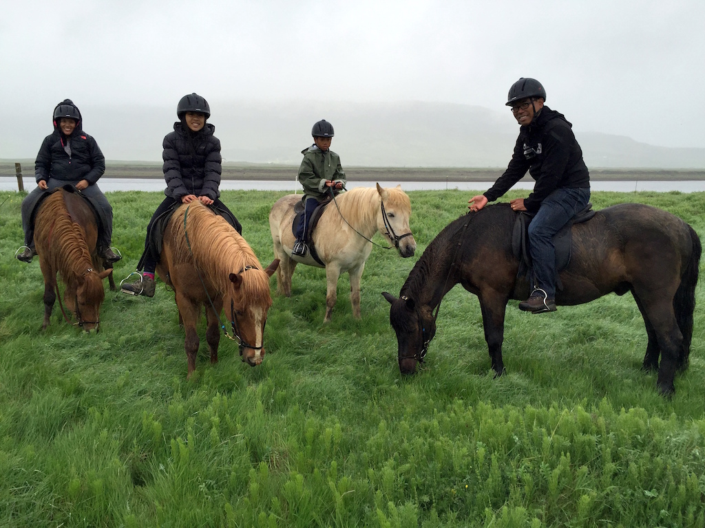 Horseback Riding tour Iceland