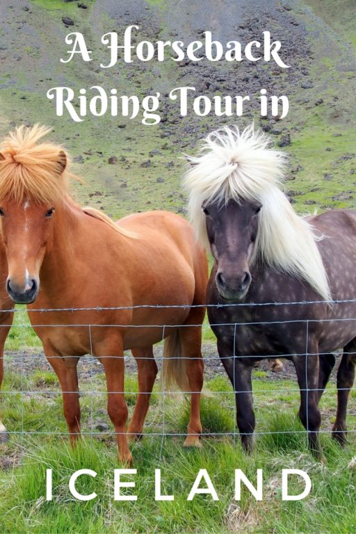 Horseback riding tour Iceland