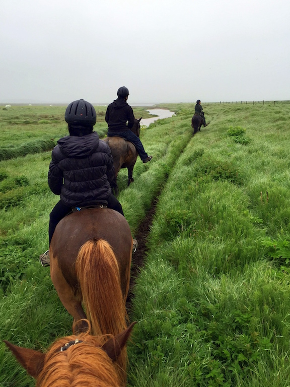 Iceland horseback riding tour