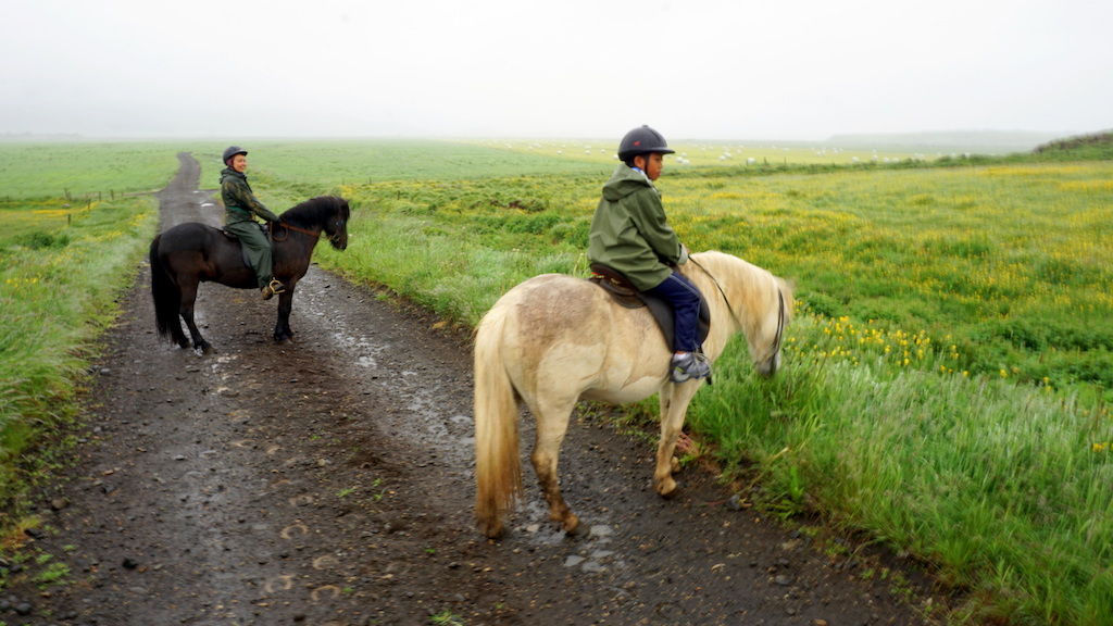 Horseback riding in Iceland with kids