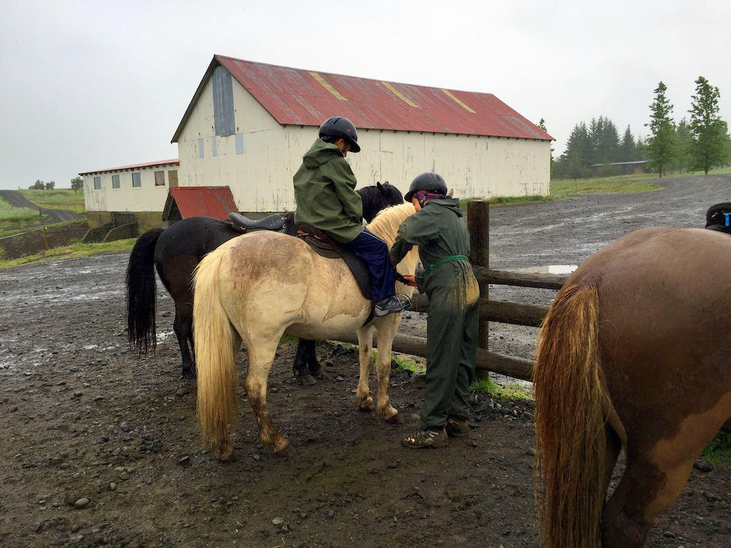 Horseback riding Iceland