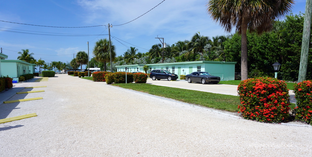 Turtle hospital grounds