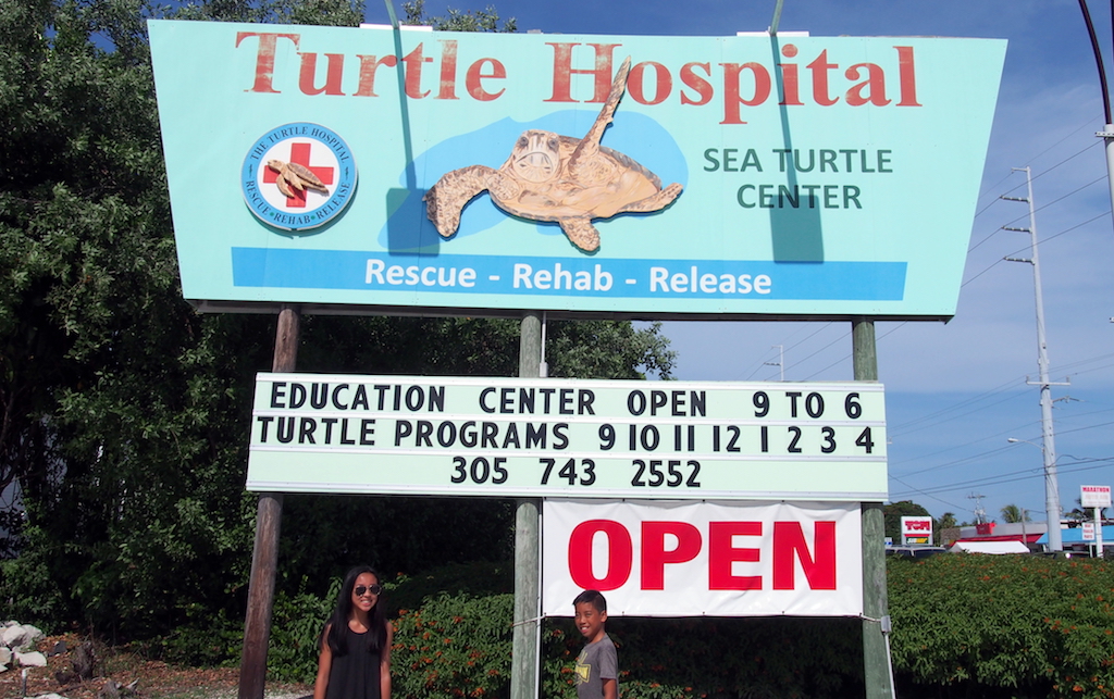 Turtle Hospital Florida