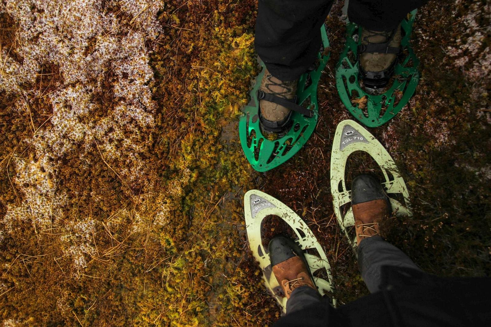 estonia-bog-shoes