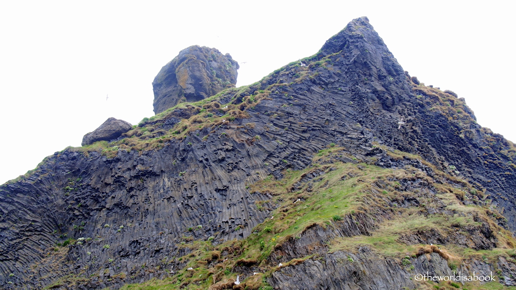 Reynisfjara iceland cliff with birds