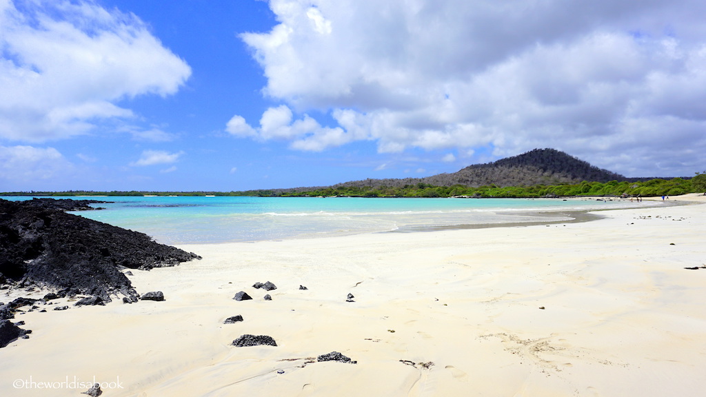 el garrapatero beach