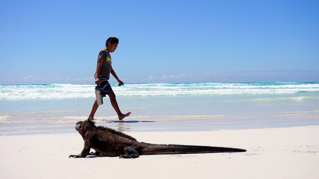 galapagos islands with kids