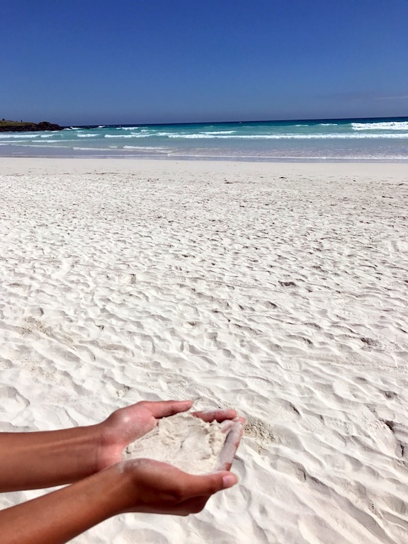 tortuga bay galapagos