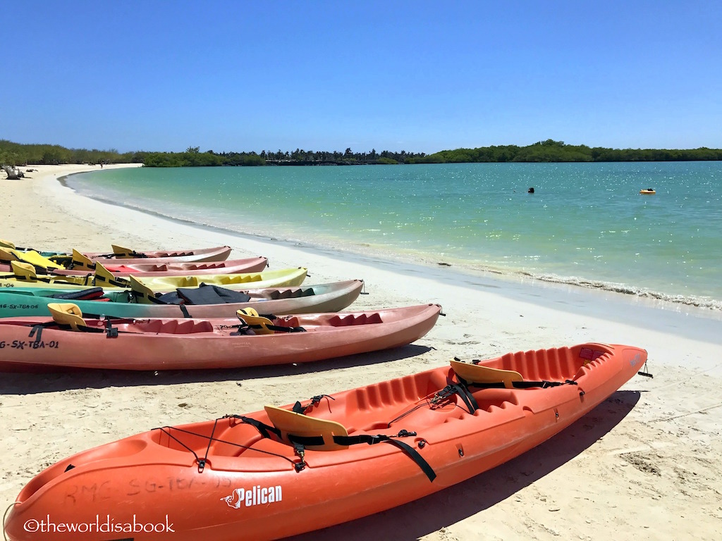 Tortuga Bay Kayak