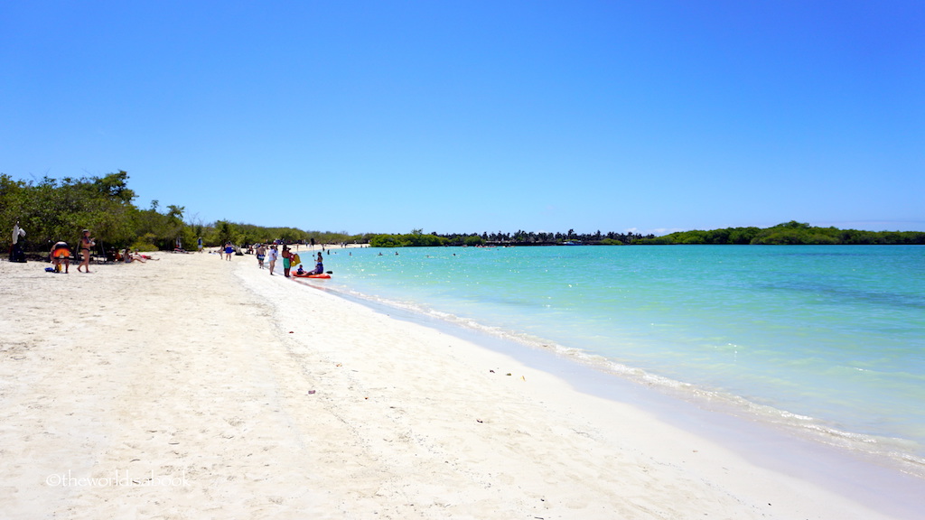 Playa Mansa Tortuga Bay Galapagos