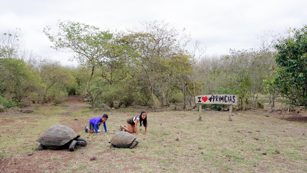 Rancho Primicias Santa Cruz