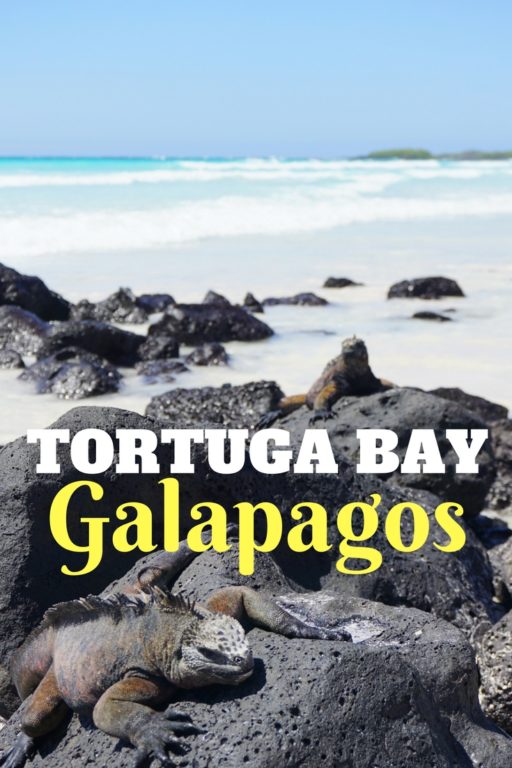 TORTUGA BAY Galapagos