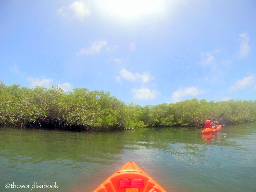 Kayaking at Tortuga Bay