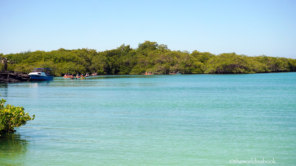 Tortuga Bay kayaks