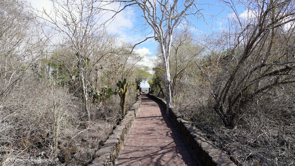 Tortuga Bay pathway Galapagos