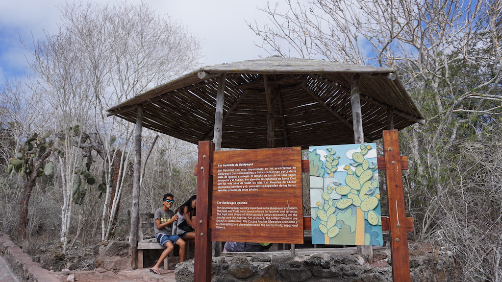 Tortuga Bay pathway gazebo