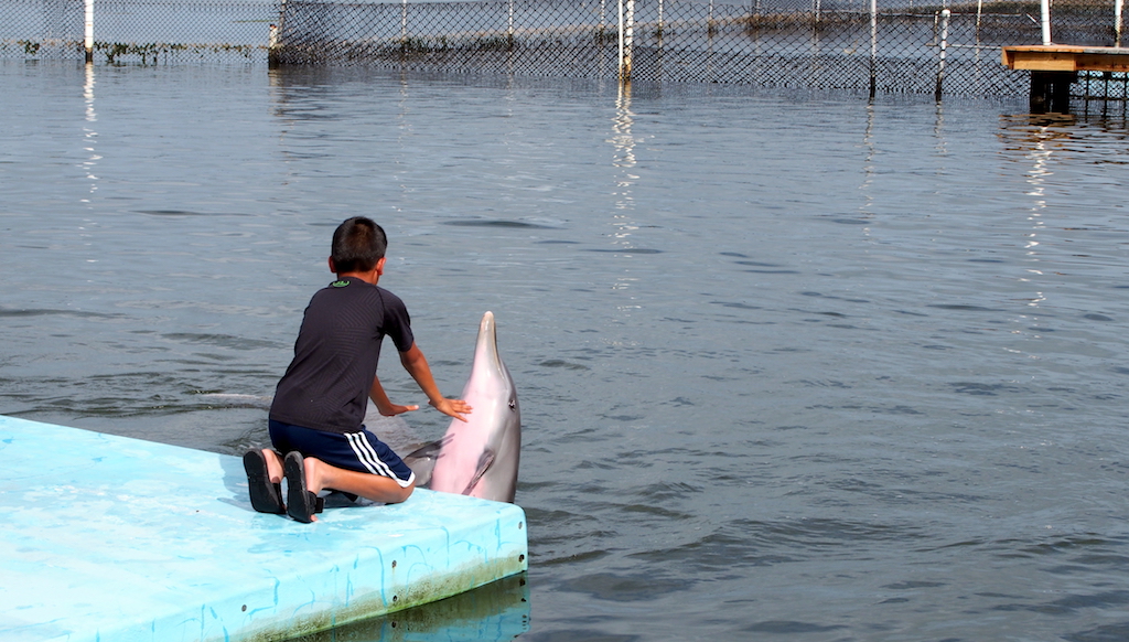 Dolphin Research Center with kids