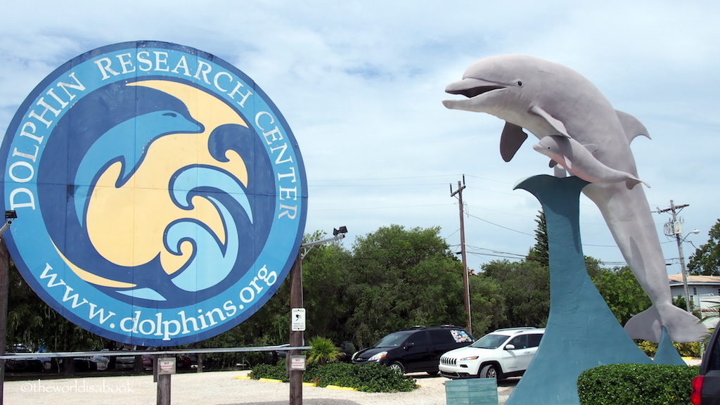 Dolphin Research Center Florida